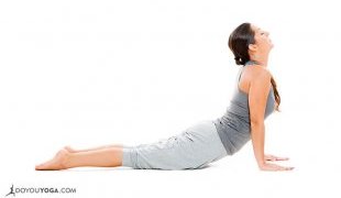 cobra-pose-Bhujangasana2-733x440px