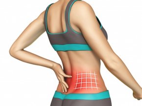 lower back pain, possibly muscular in origin