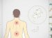 Back pain Relief Exercises and Stretch