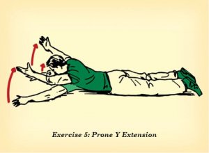 prone y extension counteract effects of sitting illustration