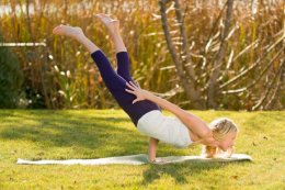 Pungu Mayurasana - Wounded Peacock Pose