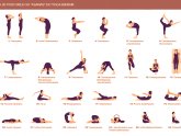 Standard Yoga Poses : Yoga Poses